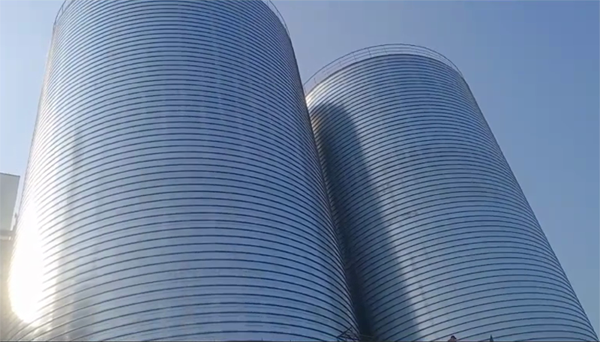 高阳2座混凝土高架卷板仓